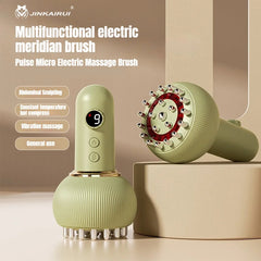 Electric Meridian Brush Rechargeable Scraping